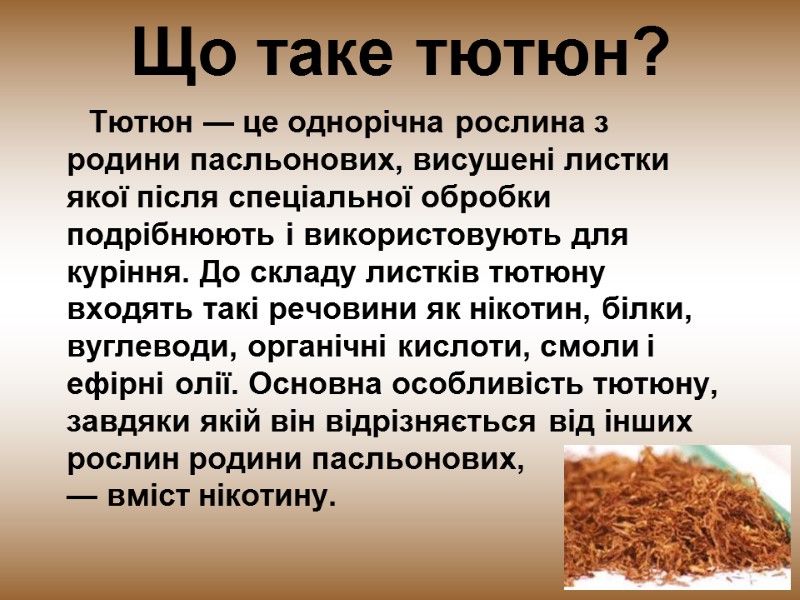 Що таке тютюн?       Тютюн — це однорічна рослина